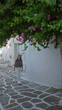 © Krakenimages.com - Woman walking under bougainvillea on a whitewashed mykonos street, looking up at pink flowers; leisure travel serenity.