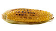 © Maria - Golden grilled corn cob with charred kernels, isolated on transparent background