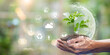 © chaylek - Sustainable development and climate action are essential for a better future. This image represents global environmental awareness, renewable energy, carbon reduction, responsible ecological practices