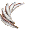 © PicTCoral - Raw herring fillets on transparent background