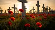 © thenort - Sunset illuminates a war cemetery with white crosses, poppies, and golden light
