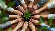 © Graphic - Hands protecting young plant in circle on wooden table. Environmental growth and corporate sustainability. Group of business people nurturing a sprout together as a symbol of teamwork