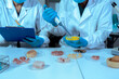 © NINENII - Team Food Safety Scientists Testing Meat Samples in Laboratory for Contamination and Chemical Residue Analysis.