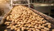 © Oleksandr - Abundant harvest of raw legumes in shell moving along an industrial conveyor belt within a food processing plant, showcasing modern agriculture and production