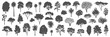 © Amena - Tree silhouette icon collection set of graphics trees elements outline symbol for architecture of silhouettes of trees .landscape, and urban design projects, in vector design