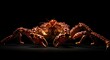 © dp x990 - Dramatic studio shot of a giant crab with textured, spiky shell against a black backdrop