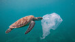 © bephoto - 海の脆弱性を象徴するプラスチック袋とウミガメの環境写真