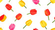 © setan cell - Vibrant tulips in a repeating pattern on a white background