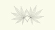 © Ruhul - Detailed black and white ink drawing of two cannabis leaves with intricate veins and serrated edges for medical or herbal products.