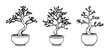 © MstZohura - Bonsai set with stylized tree and ceramic pot featuring plant, nature, flora with organic and growth elements