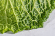 © Stacy Howell - Closeup of cabbage with water droplets