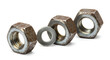 © durjoy2001 - Group of rusty metal nuts and washer isolated.