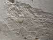 © joo - Textura de parede de cimento rustico pintado