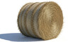 © Hasni - Golden straw bale tied with twine a rustic countryside harvest agricultural hay roll on a white isolated background in a studio setting rural farm concept