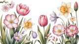 bouquet of tulips