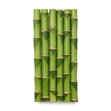 A bundle of fresh green bamboo stalks arranged neatly on a white background