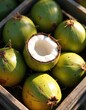 © Vadym - Fresh green coconuts in rustic wooden crate. One coconut is cut open revealing white flesh. Healthy tropical fruit ready for juice or food preparation.