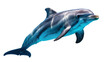 © Alexander - Graceful bottlenose dolphin swimming, isolated on transparent background