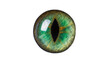© Alexander - Detailed green reptilian eye with vertical pupil, isolated on transparent background