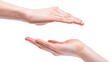 © Maria - Two open human hands cupped and reaching towards each other, isolated on transparent background