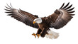 © Corotaev - Majestic bald eagle with spread wings talons extended, isolated on transparent background