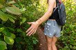 © Christine La/Stocksy - anonymous hiker feeling leaves