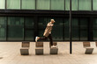 © Alba Studio/Stocksy - Man Jumping Urban Benches