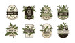 © Senhu - Collection of Various Tea Brand Logos Displayed.