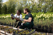 © Niyaz Tavkaev/Stocksy - Multiracial gardeners checking strawberry sprouts
