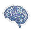 © Yupi - Brain Illustration with Geometric Shapes.