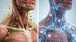 © Riverruno - Detailed illustration of human lymphatic system and immune cells in the neck region