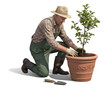 © FP Creative Stock - Gardener planting young tree on a pot isolated on transparent background