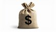 © HecoPhoto - Burlap sack tied with a knot featuring a large dollar sign symbol, representing money, finance, investment, savings, and economic concepts for business and commerce.