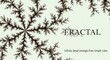 © NurulAisyah - Complex Fractal Branching Pattern