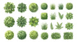 © Oye - Top view landscape plants vector set, architectural garden trees and bushes symbols, green vegetation icons for site plan design and map making