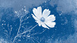 © suldev - Blue cyanotype cosmea botanical background. Stipple dot overlay texture with flower and twig silhouette. Delicate indigo blue nature banner for template and graphic design project. Stock Vector