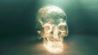 © andov - Clear crystal skull placed on a surface with glowing light in a dark setting during nighttime