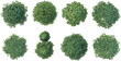 © MdMonsurAli - Set of Eight Diverse Green Tree Crowns Viewed From Top Down Perspective