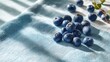 © backup_studio - Fresh blueberry fruit scattered on blue linen textile. Organic berries lying on fabric background with morning light ray. Healthy food, vegan ingredient, summer harvest and kitchen concept.