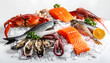 © Rayyan - Assortment of Fresh Seafood and Fish on Ice.