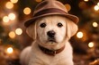 © CreativeBro - Adorable Labrador pup sporting a hat surrounded by soft bokeh lights