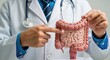 © MMerellinn - A medical professional explains human intestinal disease, pointing to a colon health problem on an anatomical model for diagnosis or patient education, gastroenterology concept