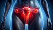 © Moon - Digital medical illustration of female reproductive system with highlighted red ovaries, symbolizing anatomy, inflammation, and diagnostic medical focus.