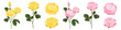 © Rawpixel.com - Illustration of yellow and pink roses in various stages of bloom. Yellow roses and pink roses with green leaves. Floral design with roses in different bloom stages. Aesthetic illustration set isolated