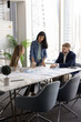 © fizkes - Group of professional marketing analysts reviewing campaign metrics and performance data, developing strategies or prepare report, gathered at conference table in contemporary boardroom with city view