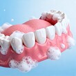 © henvryfo - Dental model with foam