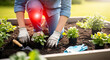 © Firyal Affina - Gardener planting flowers in raised bed, highlighting knee pain from outdoor activity. Spring garden work.