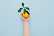 © Anastasiia Sapon/Stocksy - lemon