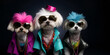 © Sandra Chia - Group gang of maltese dog puppy in neon bright sparkly rock punk colour outfit, Creative animal concept. copy text space. commercial, editorial advertisement party invitation invite