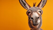 © dhea - Donkey Week begins with a cheerful donkey looking directly at camera indoors.